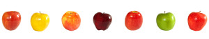 different varieties of apples on white background